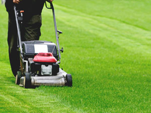 lawn-mowing-london-kensington